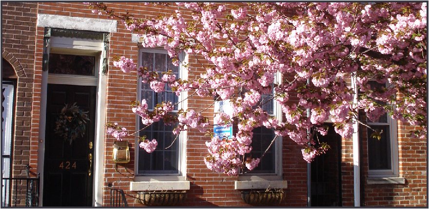 Dickinson Narrows lifestyle