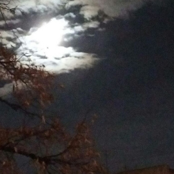 Dickinson Narrows Night Sky